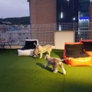 수원시 팔달구 향교로57번길 이미지