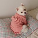 러브아지 이미지