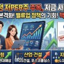 파마텍스코리아홀딩스(주) | 정부 선정 저PER주 주목: 지금 사도 될까? 핵심 3가지