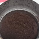 포트커피 이미지