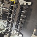 강남 베스코 덤벨 3kg부터21kg 세트판매합니다 이미지