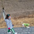 멍냥이편의점 - 용인시 수지구 만현로 88 | 멍냥이편의점