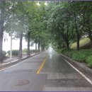 경기옛길 의주길 제5길 임진나루길 이미지