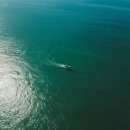 영진교역 | 강릉 바다 여행 완벽 가이드