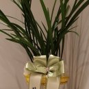 강동오아로피부과의원 이미지