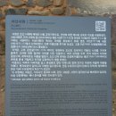 충정영당 | #하얀찔레꽃 안동 #서산서원( 경상북도 안동시 일직면 원리에 있는 조선 후기 서원.) 느티나무 아래서