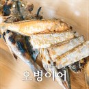 오병이어 | 제주 서귀포 맛집 자연산 모듬 생선구이 정식! 오병이어 재방문 후기