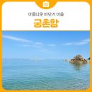 궁촌어촌체험휴양마을 | 삼척 식도락 여행 아름다운 바닷가 마을 궁촌 어촌계회센터 궁촌항