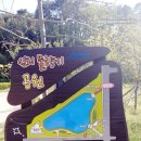 사림동169 이미지