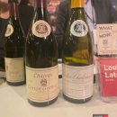 11545-03-21-37 | 2025 제임스 서클링 시음회 Great wines world, Seoul 후기