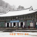 전병철 카카오 검색결과