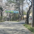팜 스프링캠프 이미지