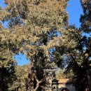 만리장성 | 겨울 자금성(고궁)과 무톈위 만리장성 투어 후기