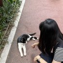 대학 | 망막 변성으로 인한 레이저 치료 후기 (대학병원에서 진행)