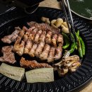 동갈매기 이미지