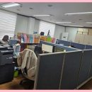 세무법인송촌 이미지