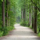 바로튼튼의원 이미지