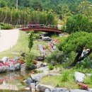 ☺ 7월 13일(일) 천사(10047)섬 - 신안 압해도 송공산&분재공원 ☺ 이미지