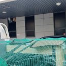 밸런스기구필라테스