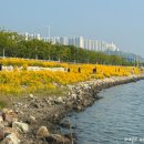 새나루쉼터 이미지