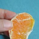 세봉농장 이미지