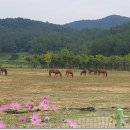 부윤농장 이미지