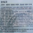 승일공원(승일교) 이미지