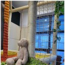 쥬디스펜션 이미지