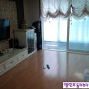 구월1동-31 이미지