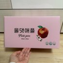 아침 사과 효능 간편하게 섭취 100% 청송사과 NFC 착즙 사과즙 올댓애플