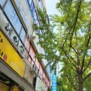송기헌소아과 네이버블로그