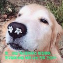 비빔하우스 이미지