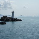 유림-1148 이미지