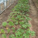 무리개농장 이미지