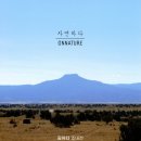 자연 NATURE 이미지