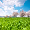 주경목장 이미지