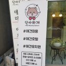 단아하개 이미지