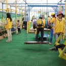 한국특수요육원