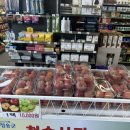 좋은아침(성화점) | 영덕 울진 달토글램핑 다녀왔어요 :) [내돈내산]