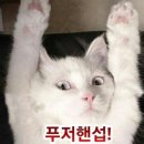 카페또오늘 이미지