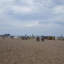 머구리해물 뚝배기 이미지