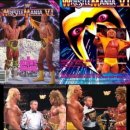 WWF 최고 레전드 경기 이미지