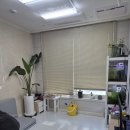 도봉-쌍문-도봉-1166 이미지