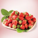 부여(홍산)-11 이미지