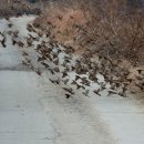 군무 2022-1 이미지