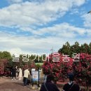 랜드휴