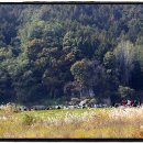 강천마을 이미지