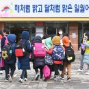 채운초등학교 이미지