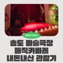 꼬마 마술사B 1 | [소소한육아] 인천 송도 아이와 가볼만한곳|송도마술극장 매직카바레 (내돈내산)