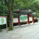 조영2동 Daum카페